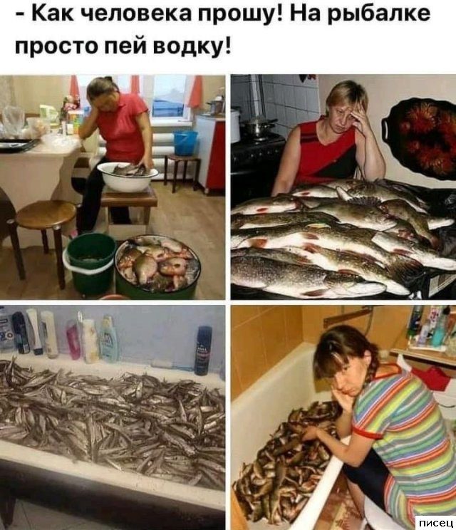 Все приколы Июня. Праздник каждый день!