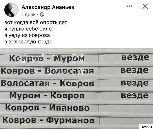 25 июньских приколов из социальных сетей