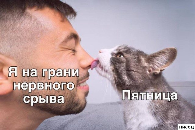 Все приколы Июня. Праздник каждый день!