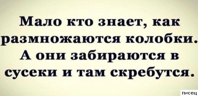 Все прикольные цитаты. Жмите Лайк!