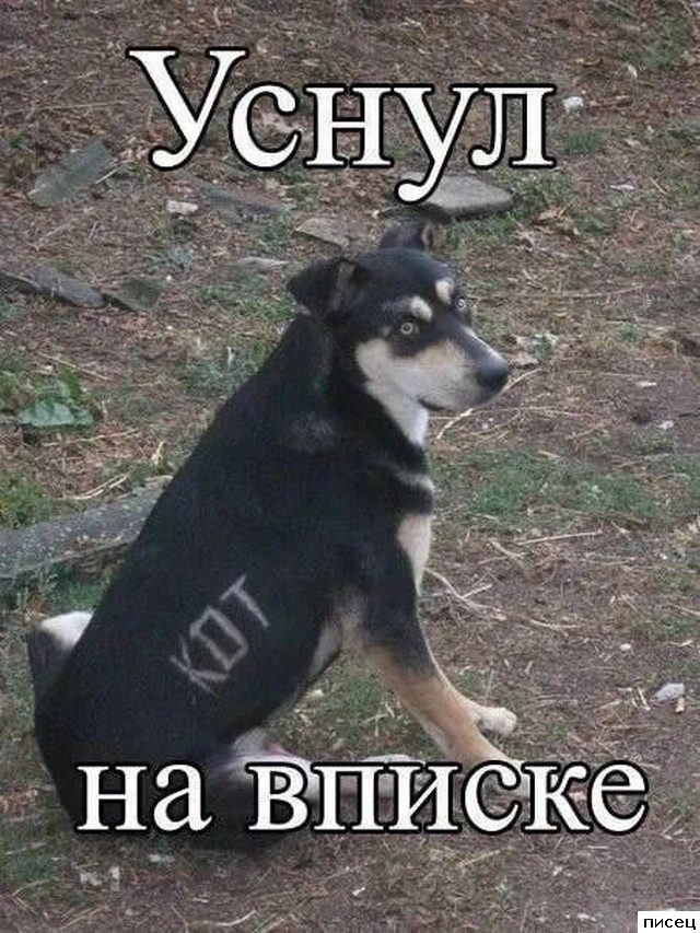 Все приколы Июня. Праздник каждый день!