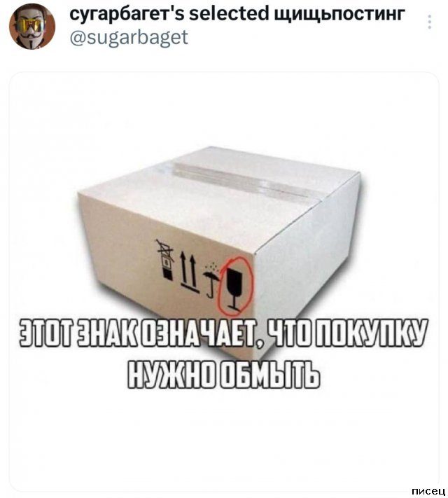25 июньских приколов из социальных сетей. Кайф!