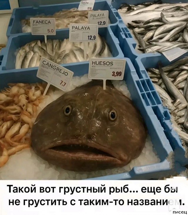 Все приколы Июня. Наслаждайтесь!