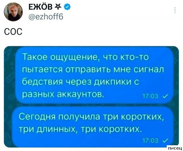 25 июньских приколов из социальных сетей. Кайф!