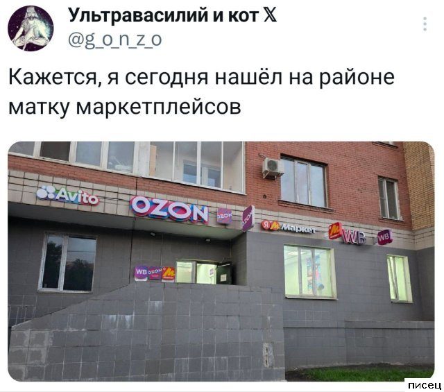 25 июньских приколов из социальных сетей. Кайф!