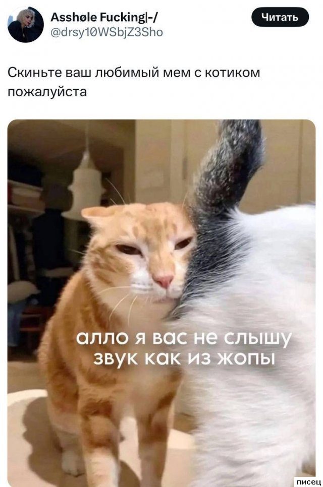 25 июньских приколов из социальных сетей. Кайф!