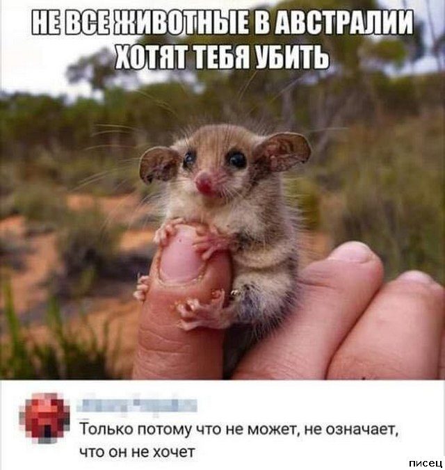 25 июньских приколов из социальных сетей. Кайф!