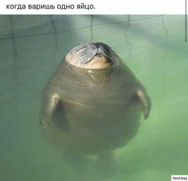 Прикольчики в стиле «Когда...». Шикардятина!