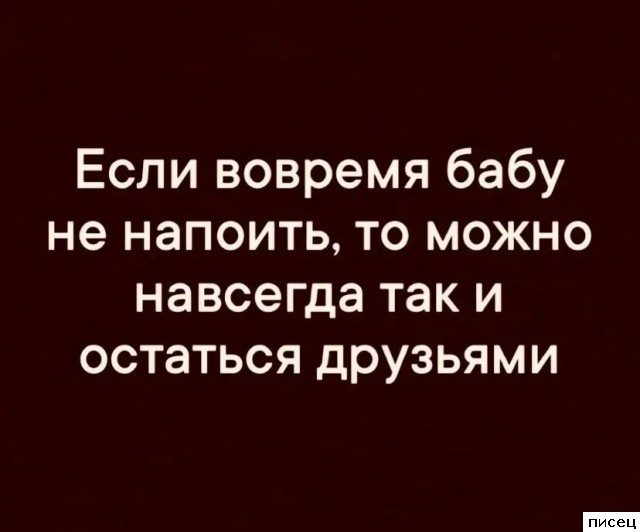 Все прикольные цитаты. Кайф!
