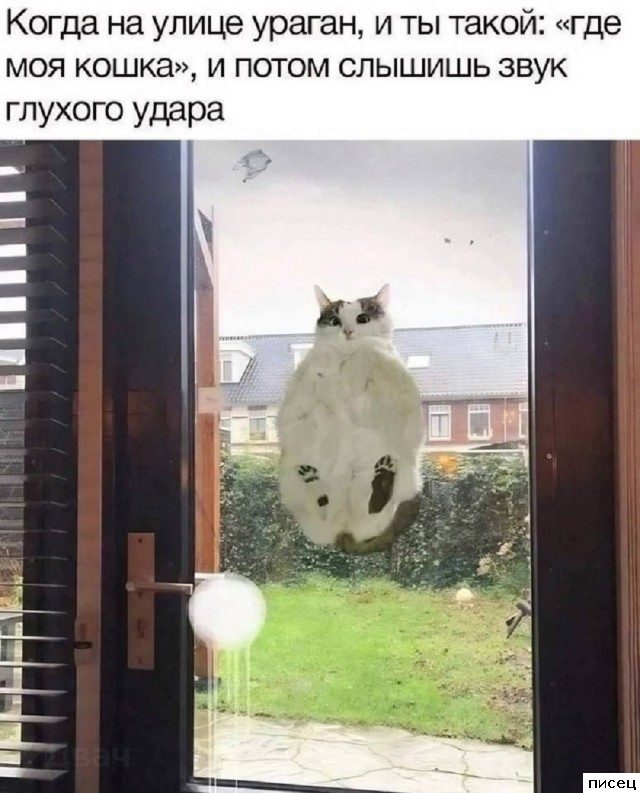 Прикольчики в стиле «Когда...». Шикардятина!