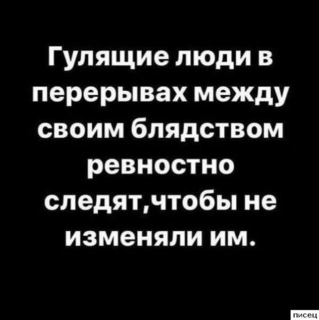 Все прикольные цитаты. Кайф!