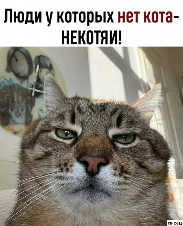 Все прикольные цитаты. Кайф!