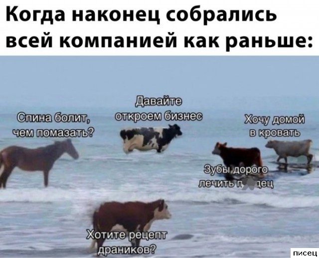 Прикольчики в стиле «Когда...». Шикардятина!
