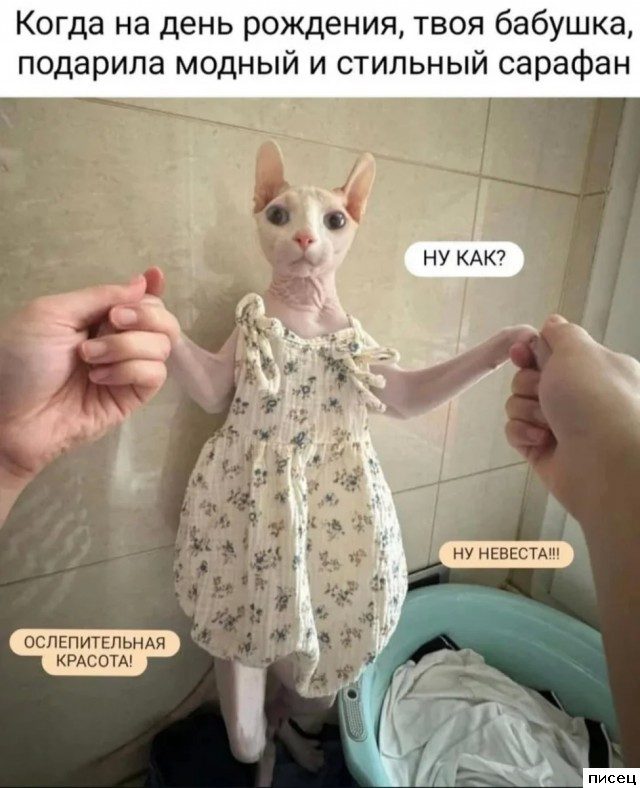 Прикольчики в стиле «Когда...». Шикардятина!
