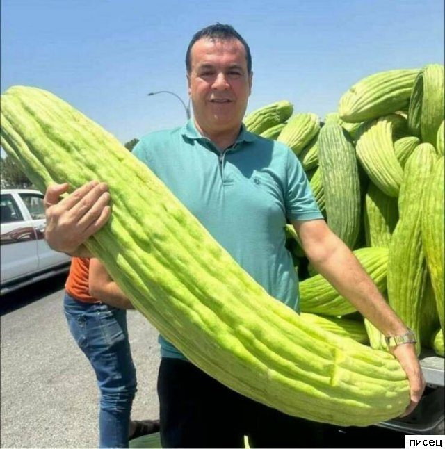 Вау, вот это размерчик!