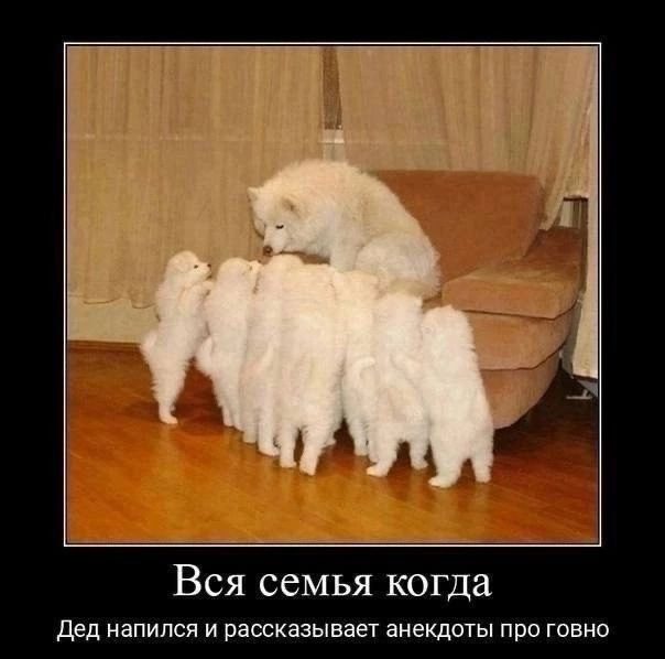 Весёлая порция Демотиваторов. Жмите Лайк!