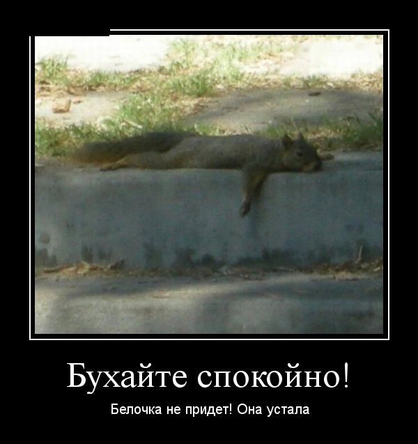 Весёлая порция Демотиваторов. Жмите Лайк!