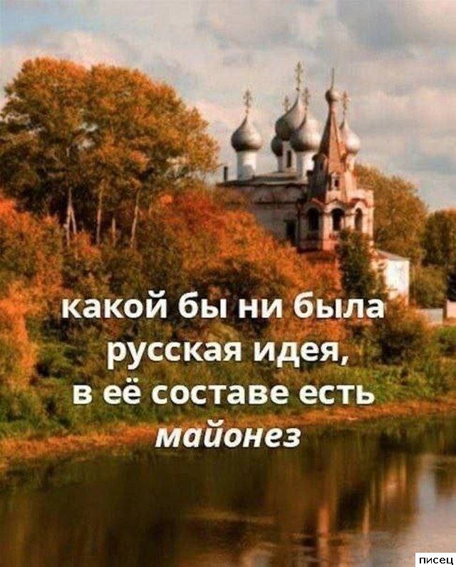 Все прикольные цитаты. Отлично!