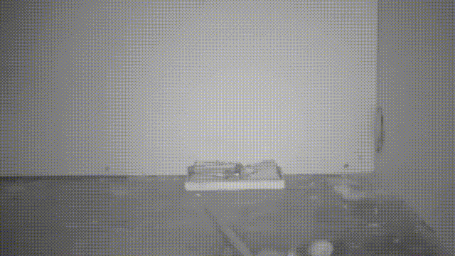 Все анимированные приколы. Кайф!