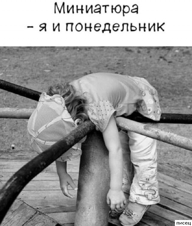 Все рабочие приколы. Кайф!