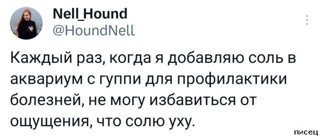 Суперприколы из социальных сетей. Лайк!