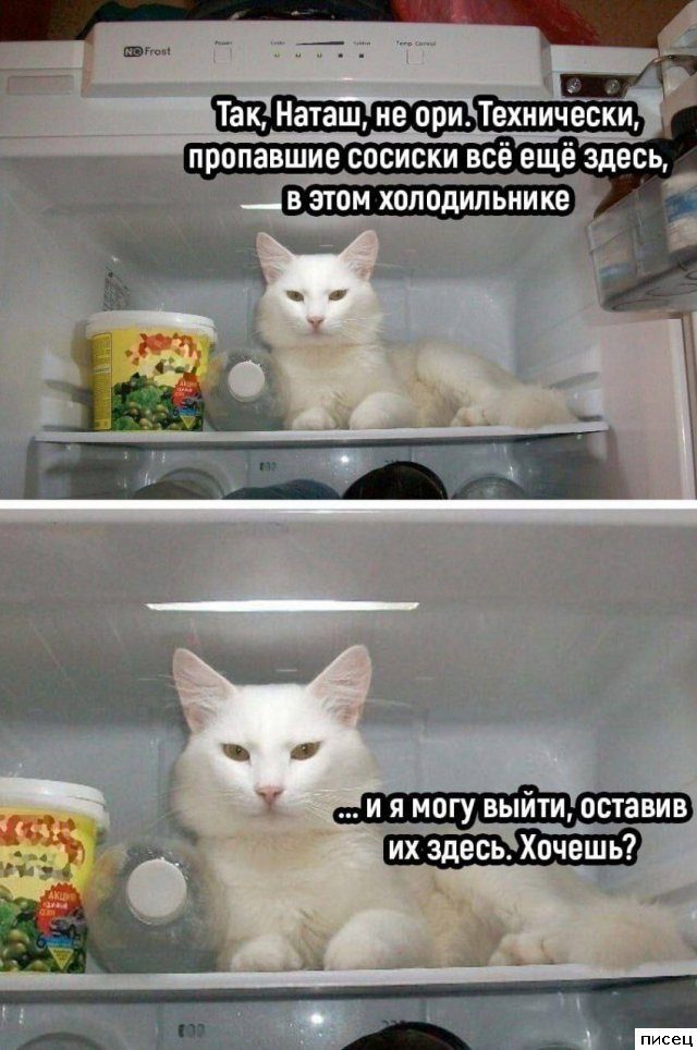 Смехотерапия Писца. Отличная подборка!