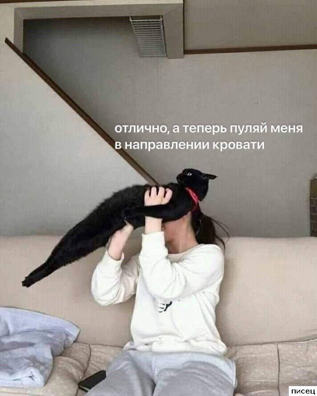 Смехотерапия Писца. Отличная подборка!