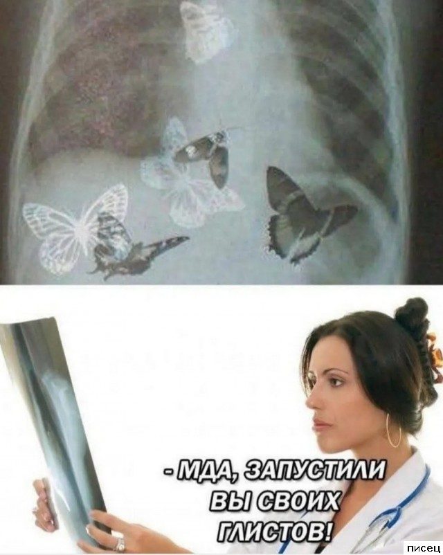 Смехотерапия Писца. Отличная подборка!