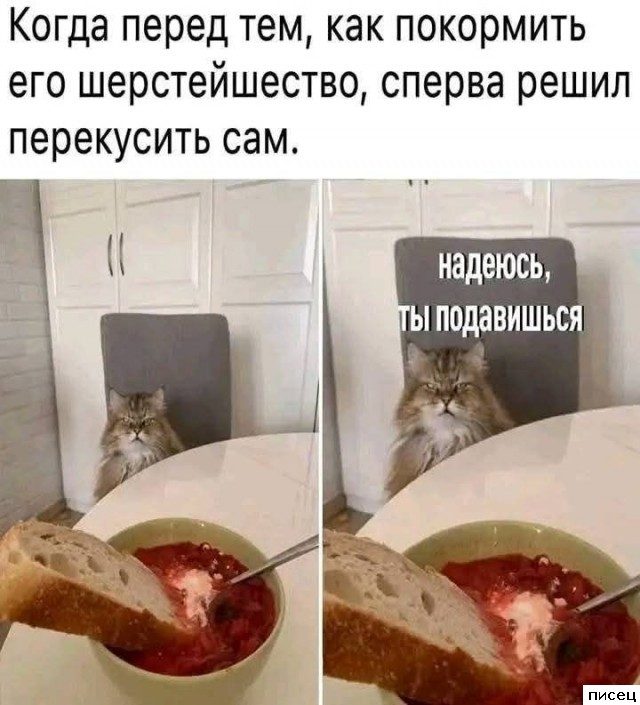 Прикольчики в стиле «Когда...». Обалдеть!