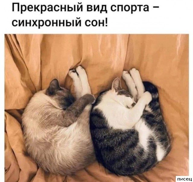 Все приколы Июня. Шикардос!