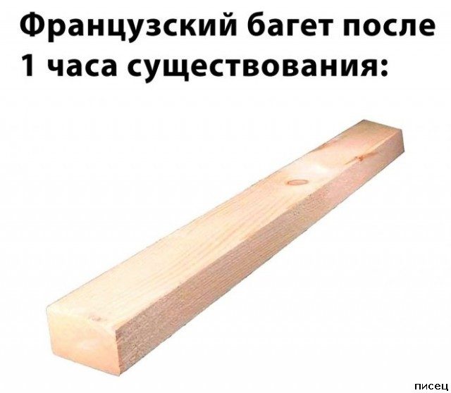 Все приколы Июня. Шикардос!