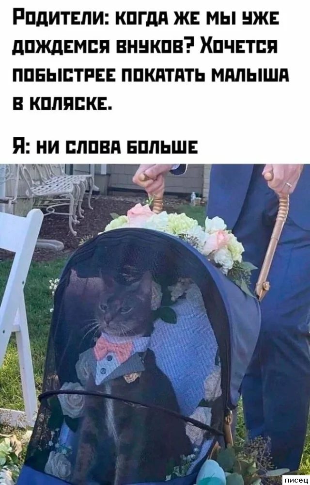 Все приколы Июня. Шикардос!