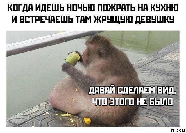 Лучшая серия приколов в стиле «Когда...»
