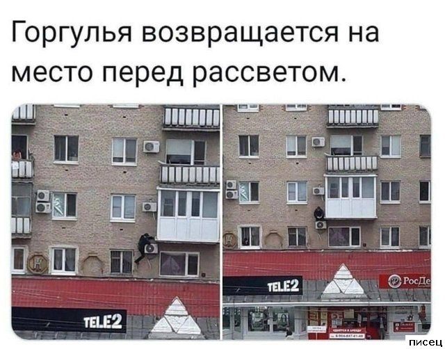 Все приколы Июля