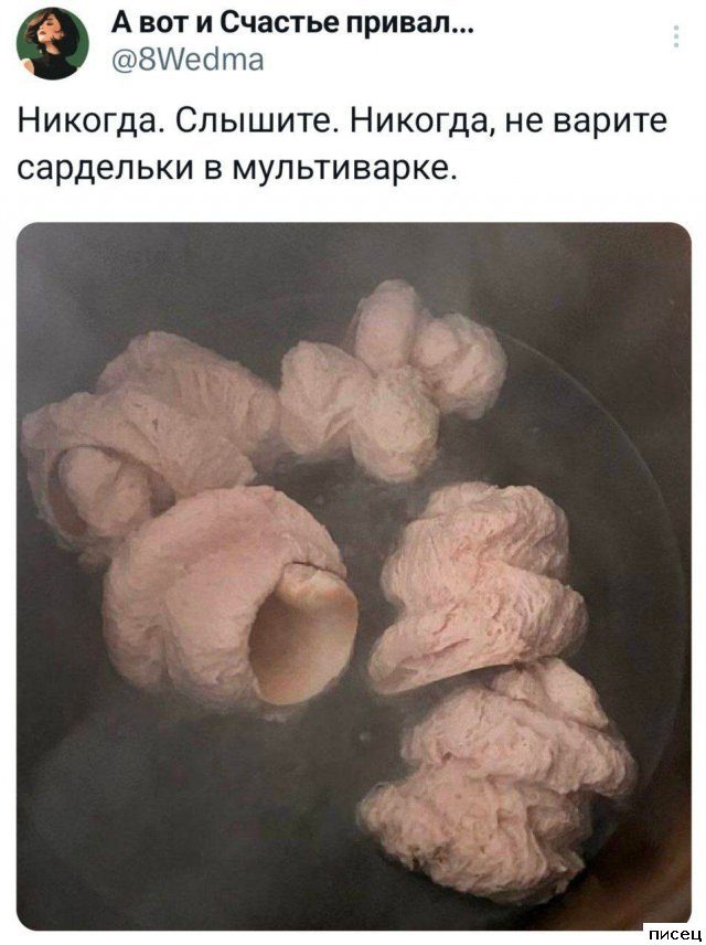 25 июльских приколов из социальных сетей