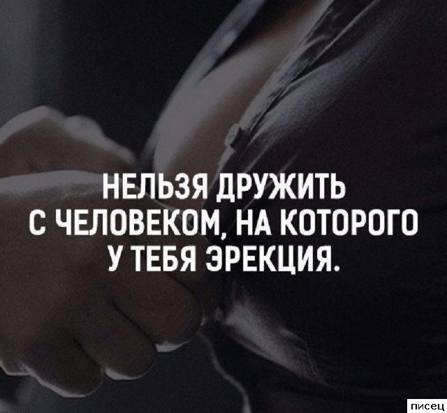 Все прикольные цитаты. Мне нравится!