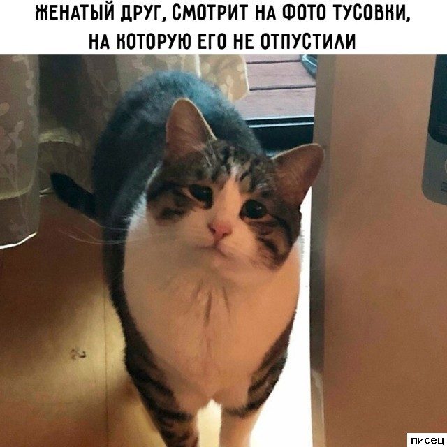 Мужские приколы. Любимая подборка!