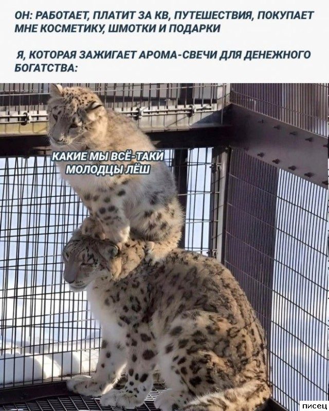 Эпические приколы про отношения мужчин и женщин
