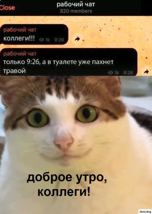 Все рабочие приколы. Очень хорошо!
