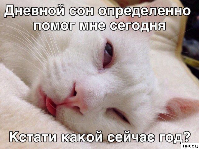 Смехотерапия Писца. Отличная комедия!
