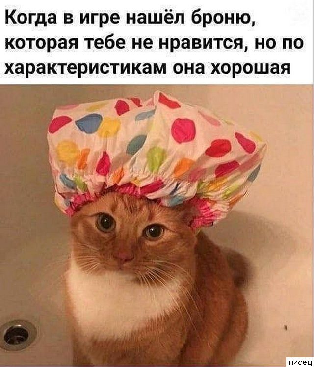 Лучшая коллекция приколов в стиле «Когда...»