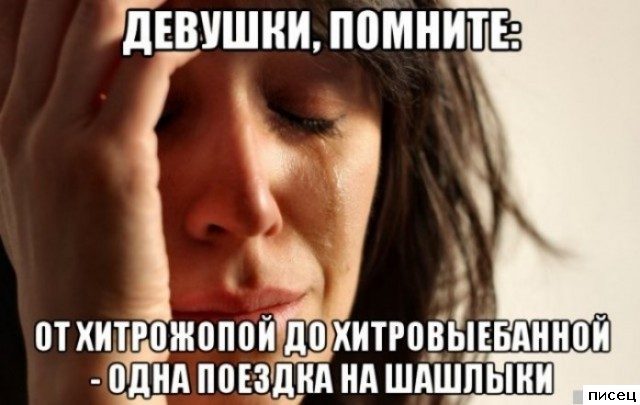 Все прикольные цитаты. Великолепно!