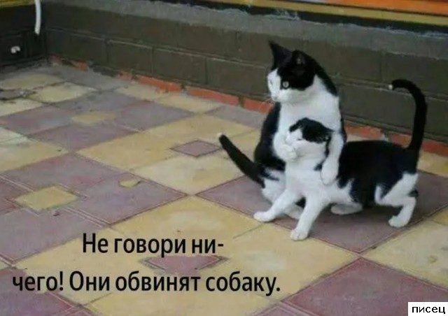 Все приколы Июля. Праздник каждый день!