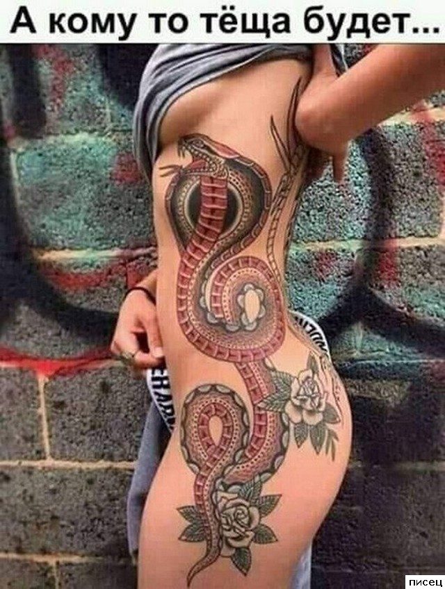 Все приколы Июля. Праздник каждый день!
