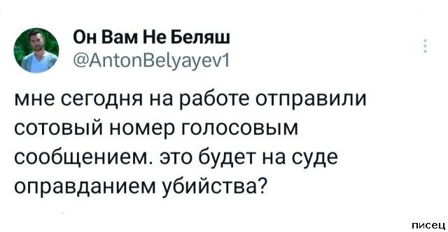 25 июльских приколов из социальных сетей. Лайк!