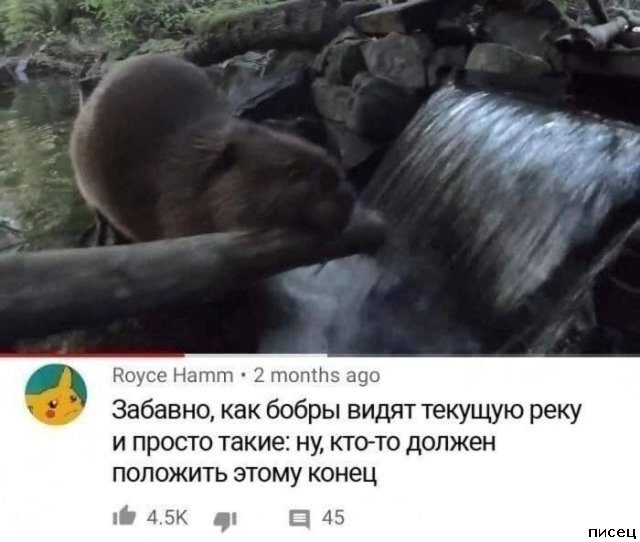Суперприколы из социальных сетей. Шикардятина!