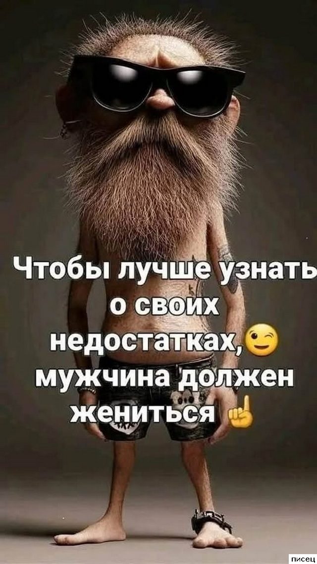 Все прикольные цитаты. Голосуйте!