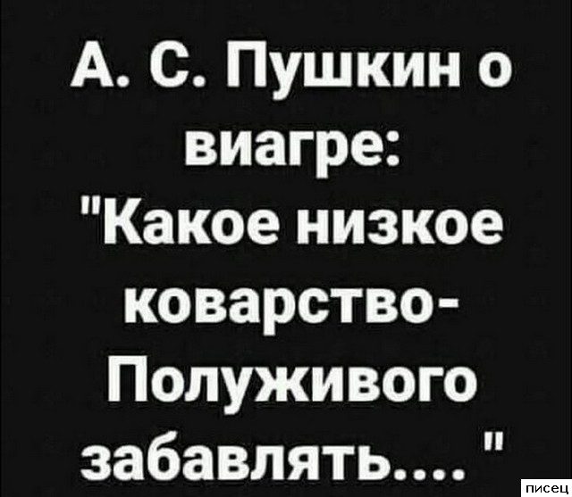 Все прикольные цитаты. Голосуйте!