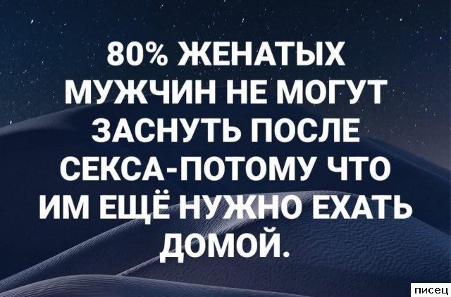 Все прикольные цитаты. Голосуйте!