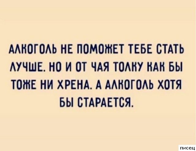 Все прикольные цитаты. Голосуйте!